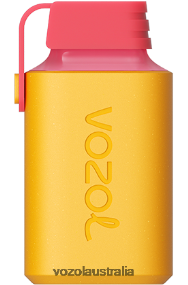 VOZOL vape price - VOZOL GEAR 600 KIWI PASSION FRUIT GUAVA 0T440V351