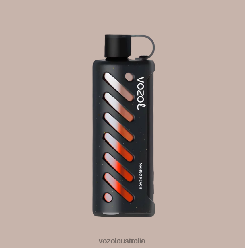VOZOL Vape Australia - VOZOL Gear Shisha 25000 BJDZ861