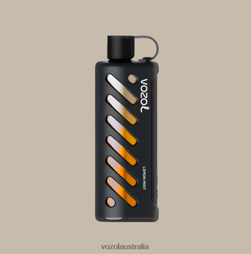VOZOL Vape Australia - VOZOL Gear Shisha 25000 BJDZ861
