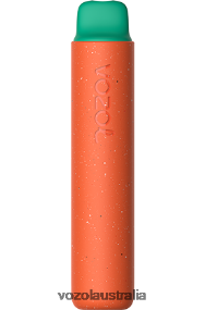 VOZOL vape flavors - VOZOL STAR 2000 RASPBERRY WATERMELON 0T440V163