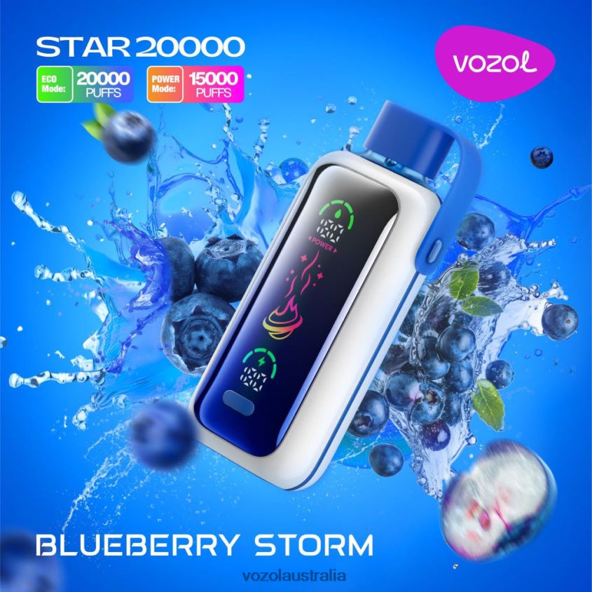 VOZOL Vape Near Me - VOZOL STAR 20000 BLUEBERRY STORM 60NLTT5