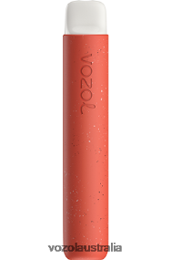 VOZOL vape review - VOZOL STAR 600 CRANBERRY LEMON ICE 0T440V78