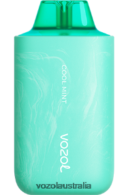 VOZOL vape Australia - VOZOL STAR 6000/8000 V2 COOL MINT 0T440V57