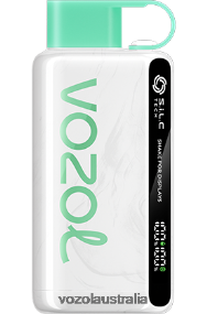 VOZOL vape Canberra - VOZOL STAR 9000/12000 WATERMELON BUBBLE GUM 0T440V34