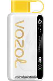 VOZOL vape near me - VOZOL STAR 9000/12000 PINEAPPLE COCONUT ICE 0T440V46