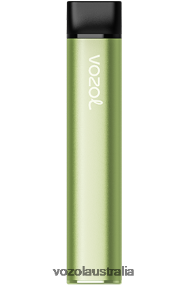 VOZOL vape flavors - VOZOL SWITCH 600 COOL MINT 0T440V223