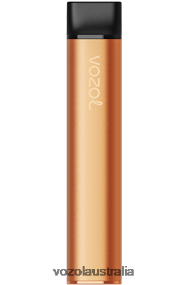 VOZOL vape near me - VOZOL SWITCH 600 MANGO ICE 0T440V226